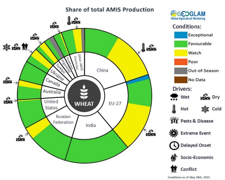 Chart1 Global wheat crop conditions 10 06 2025